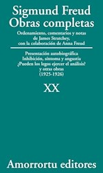 Papel Obras Completas S Freud Vol 20