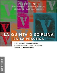 Papel Quinta Disciplina En La Practica, La
