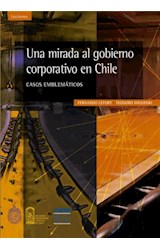  Una mirada al gobierno corporativo en Chile