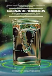 Libro Cadenas De Produccion De Las Nanotecnologias En