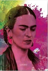 Libro Frida Kahlo Tintas Libro Diario
