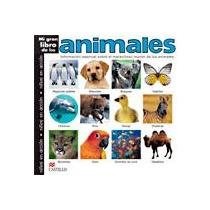 Papel Mi Gran Libro De Los Animales