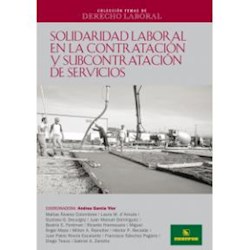 Libro Solidaridad Laboral En La Contratacion Y Subcontratacion De Servicios
