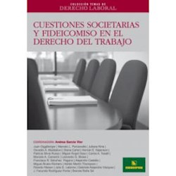 Libro Cuestiones Societarias Y Fideicomiso En El Derecho Del Trabajo