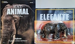 Papel Mundo Animal - Elefante Con Juguete