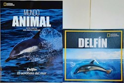 Papel Mundo Animal - Delfin Con Juguete