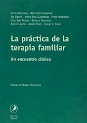 Papel Practica De La Terapia Familiar, La