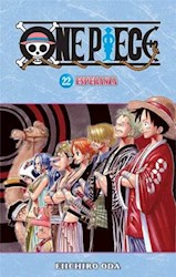 Papel One Piece 22