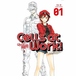 Libro 1. Cells At Work