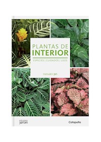 Papel Plantas De Interior