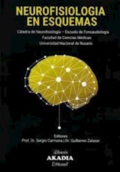 Papel Neurofisiologia En Esquemas