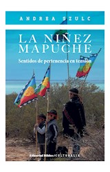  La niñez mapuche