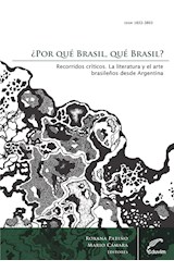  ¿Por qué Brasil, qué Brasil? Recorridos críticos