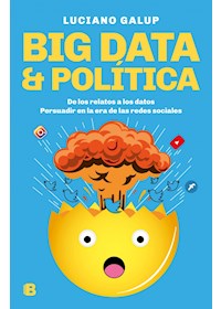 Papel Big Data & Politica