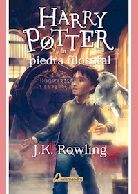 Papel Harry Potter Y La Piedra Filosofal 1