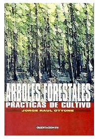 Papel Arboles Forestales