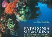 Papel Patagonia Submarina