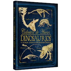 Papel Coleccion De Huesos Dinosaurios Y Otros Animales Prehistoricos