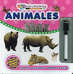 Papel Dibujo Y Descubro Animales