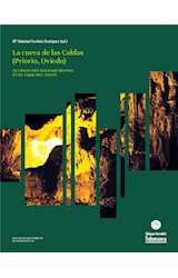  Estratigrafía, sedimentología y características de los niveles de las Salas II y I
