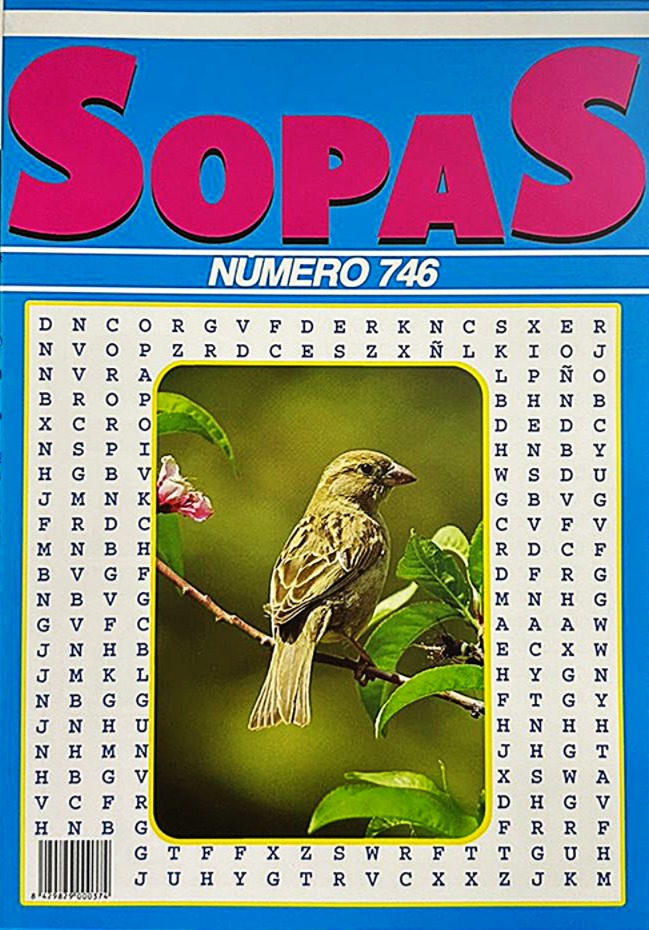 Papel SOPAS MULTI 48 PAG. 20X28 SURTIDAS