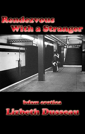 E-book Rendezvous With A Stranger