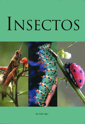 Papel Insectos (Mini Guia)
