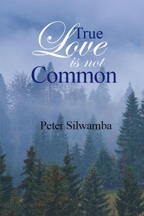 E-book True Love Is Not Common
