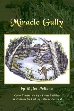 E-book Miracle Gully