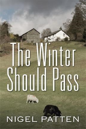 E-book The Winter Should Pass