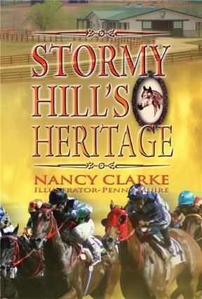 E-book Stormy Hill'S Heritage