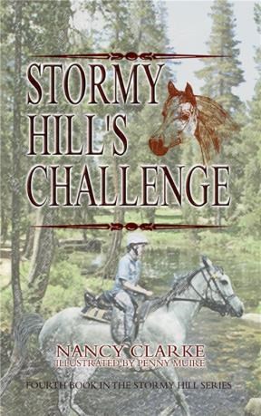 E-book Stormy Hill'S Challenge