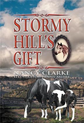 E-book Stormy Hill'S Gift
