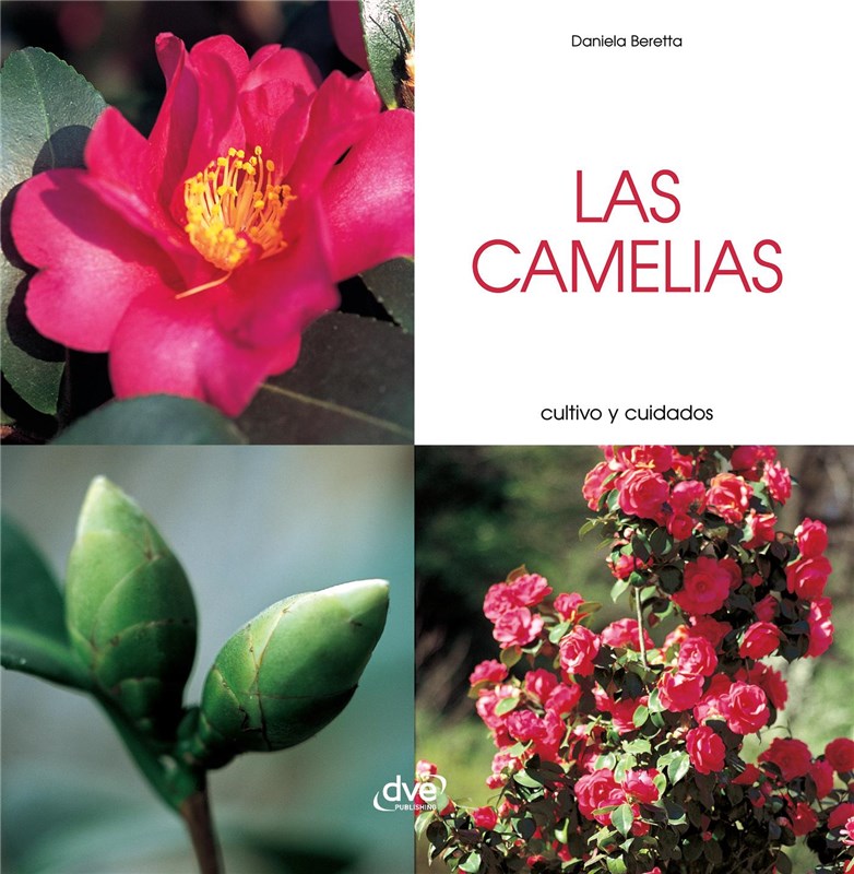 E-book Las Camelias - Cultivo Y Cuidados