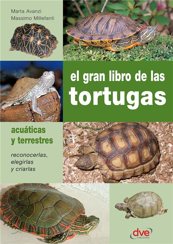 E-book El Gran Libro De Las Tortugas