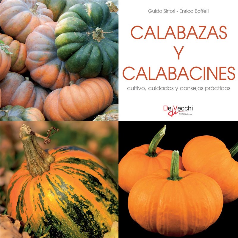 E-book Calabazas Y Calabacines - Cultivo, Cuidados Y Condejos Prácticos