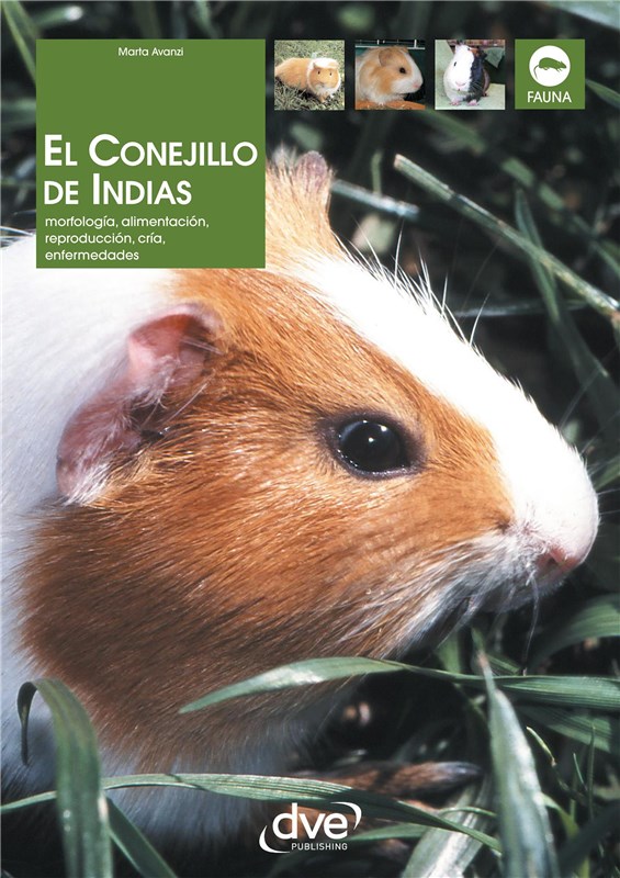 E-book El Conejillo De Indias. Morfología, Alimentación, Reproducción, Prevención Y Tratamiento De Las Enfermedades