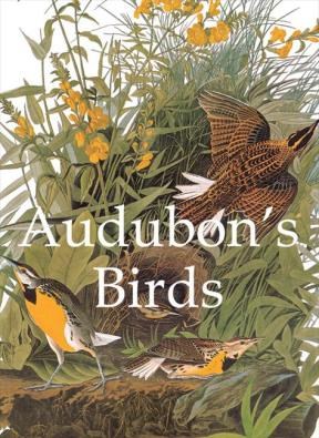 E-book Audubon'S Birds