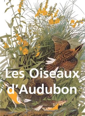 E-book Les Oiseaux D'Audubon