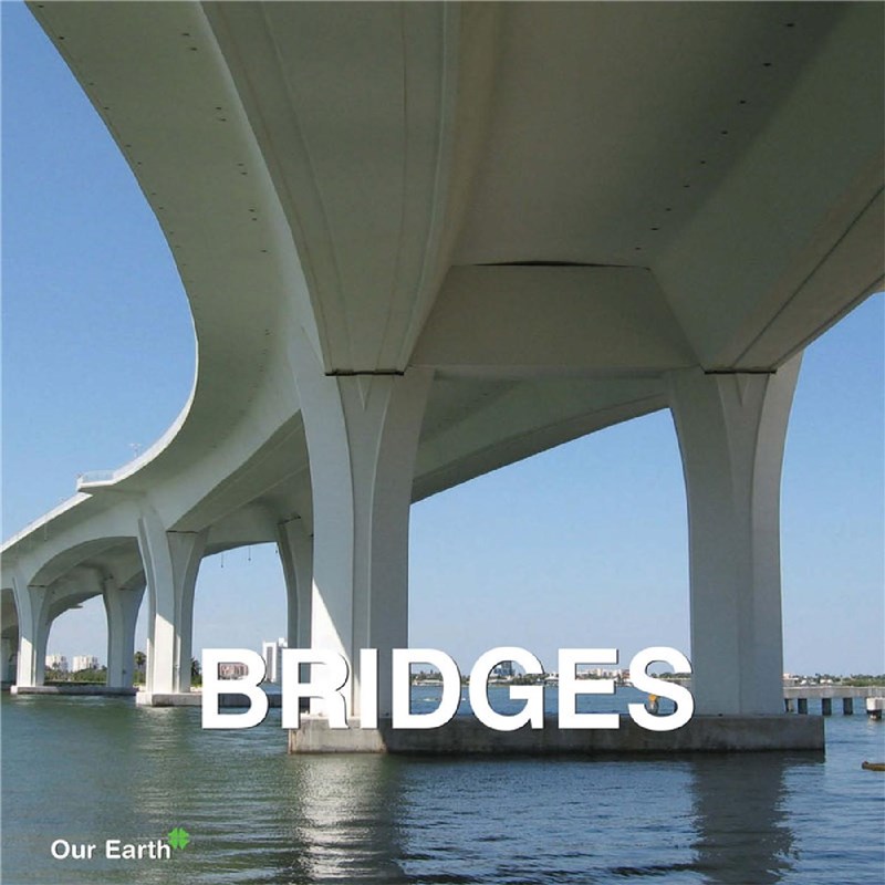 E-book Bridges