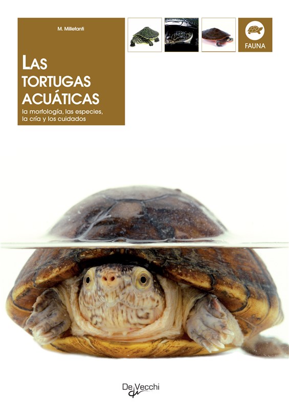 E-book Las Tortugas Acuáticas