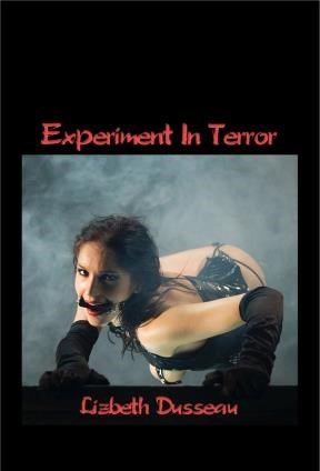E-book Experiment In Terror