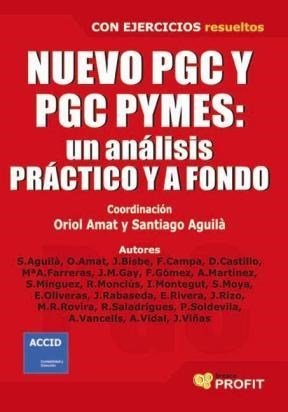 E-book Nuevo Pgc Y Pgc Pymes. Ebook