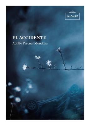E-book El Accidente