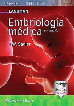 Papel Langman. Embriologia Medica 14 Ed