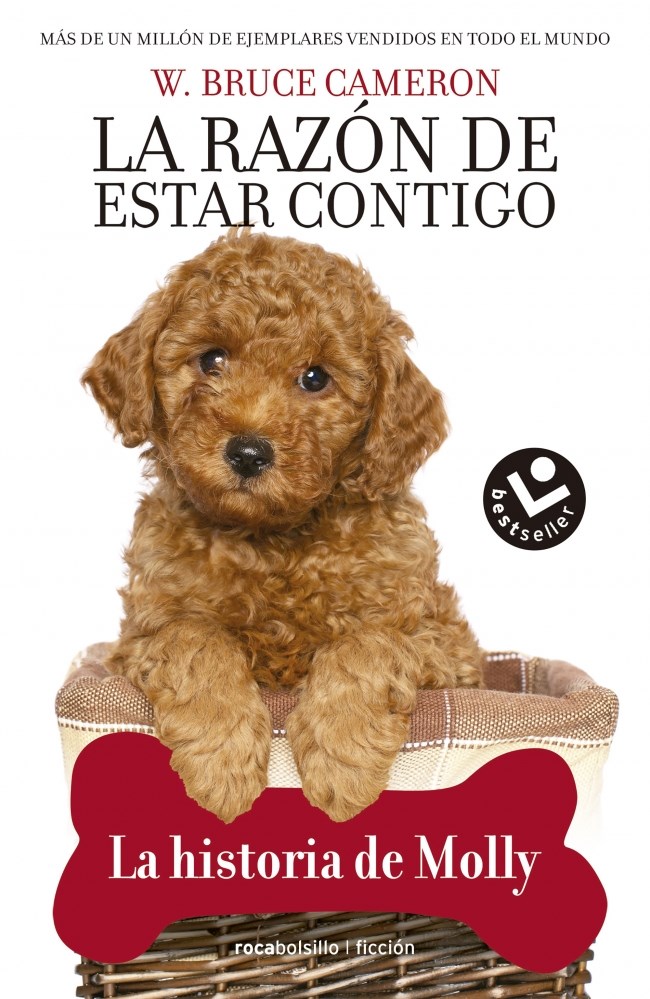 Papel HISTORIA DE MOLLY, LA. LA RAZON DE ESTAR