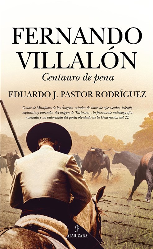 E-book Fernando Villalón