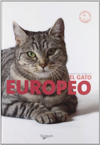 Papel EL GATO EUROPEO