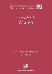 E-book Evangelio De Mateo