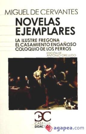 Papel NOVELAS EJEMPLARES, II